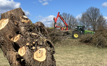 Landschaftspflege_Hacken und Abtransport des Landschaftspflegematerials durch Holz Haußwald und DVAAG2_DVAAG
