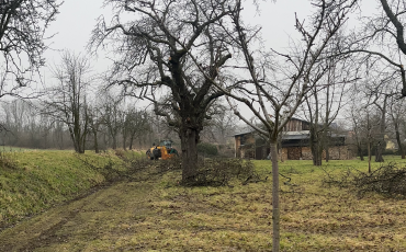 Landschaftspflege_Technikeinsatz: mobile Hebebühne auf Teleskopladerplattform_DVAAG