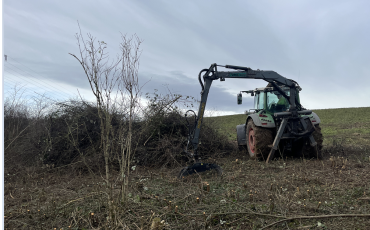 Landschaftspflege_Beräumung von Feldhecke nahe der A13 Gemarkung Nöthnitz_DVAAG