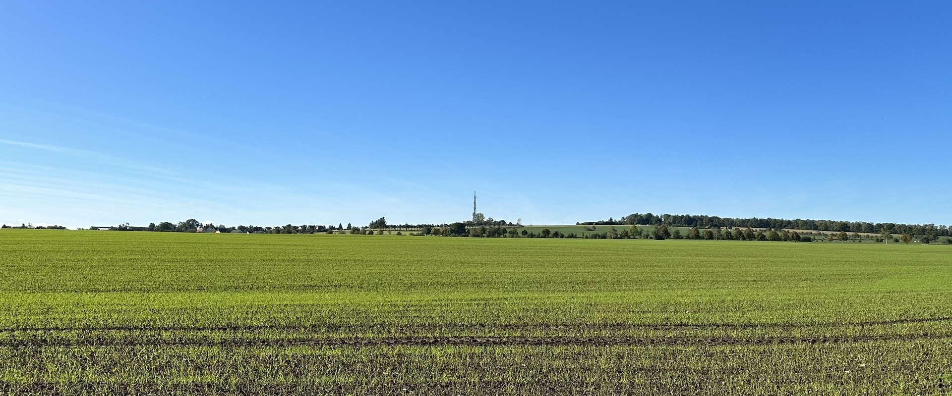 DVAAG_Bannewitz_Goldene Höhe_Rippien_Saat